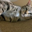 서울연광초등학교 이미지