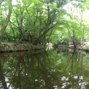 선운산도립공원(선운사 주차장 앞) 이미지