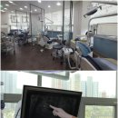 로이치과의원 네이버블로그