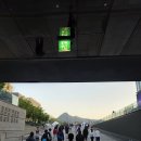 서10-402 | 2026 서울하프마라톤(서하마) 10k 후기: 광화문에서 여의도까지