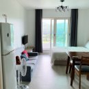 루루베리 이미지