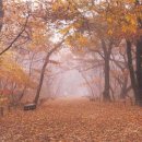 현감 고유 선정비 이미지