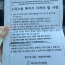 파티마주라 | 임신기록 - 행복했던 첫 임신 그리고 고사난자 계류유산 소파술 후기 건강하게 다시 와주라 💗