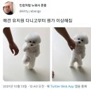 메이플유치원 이미지