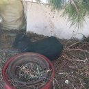 화순이서우체국 이미지