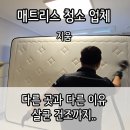 샤론크리닝 | ■지움 매트리스 청소■ 셀프 침대 청소보다 좋았던점 3가지 후기