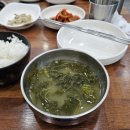 조례128 네이버블로그