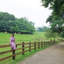 남진만농장 이미지