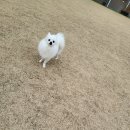 멍스타그램 이미지