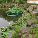 동업 농장 이미지