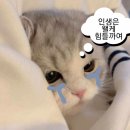 배스킨라빈스강서