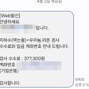 제일지하수 - 용인시 처인구 | 지하수 수질검사 후기 (음용 가능 여부와 부적합 원인)