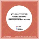 조은빛 기획 Daum카페