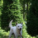 몸의형태 이미지