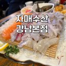 강남-256 이미지