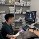 언양동물병원 이미지