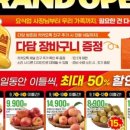 다담리테일