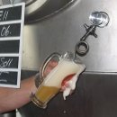 맥주-카이저돔 켈러비어 Kaiserdom Kellerbier Unfiltriert & 유혹의 선(Flat Liner, 1990)