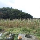 횡성군둔내면화동보건진료소 이미지