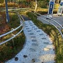 삼덕공원 이미지