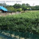 응암2리_마을회관 이미지