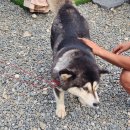 가평 용소폭포 펜션 이미지