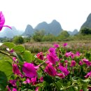 세외도원 이미지