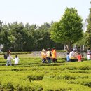 자운학교 이미지