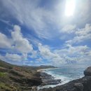 조슈아농장 | [w10]허니문리조트 vip섬투어 with 조슈아