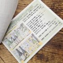 피아노(야) | (2025) 마쓰야마 여행 2일차 • 재즈바 Jazz in Gretsch · 사케샵 쿠라모토야