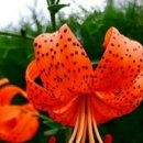 화요일 - 강릉시 범일로 601 | 화요일