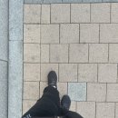 핑클노래연습장 이미지