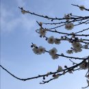 강릉고 입구(버스정류장) 이미지