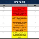 RPE10 네이버블로그