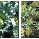 김세종농장 이미지