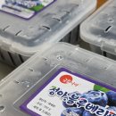 정아수퍼 | 정아블루베리 국내산 대과 산지직송 항산화 여름철 아이 간식으로 추천