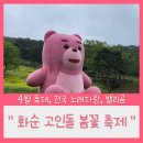 자랑, 밸리곰, 전남 봄 축제, 화순 전국노래자랑, 배일호, 박상철, 박서진, 윤태화, 한가빈, 전남 화순...