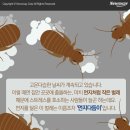 이엠시스템 이미지