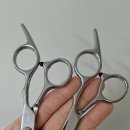 강아지가위 셀프미용🐶✂️,1만원대로 해결한 솔직 후기