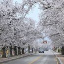 더 머물다 이미지