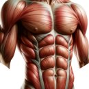 키즈 필라테스 이미지