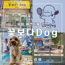꽃보다 Dog 이미지