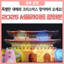 (공연) 세종시민과 함께하는 <SONG for 세종> | 빛으로 물드는 2025 서울라이트, 광화문에서 특별한 크리스마스와 새해 맞아요!