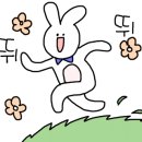 세배로마트 이미지