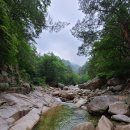 07/19 (토) 내설악 산캉스 즐겨요 아름다운 백담계곡~~~수렴동계곡 이미지