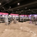 스파리스 휘트니스 이미지