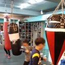 해운대 강남복싱클럽 이미지