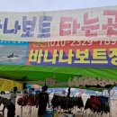 봉포활어회센터 이미지