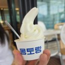 태백목장 | 애기랑 태백 몽토랑 산양목장 방문 후기 (속초가는길)