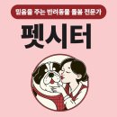 펫시터(반려견) 자격증 과정 | 펫시터 자격증 준비와 취득과정 상세히 알아보기